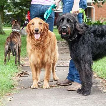 Herm Sprenger Chrome Prong Collar for Effective Dog Training