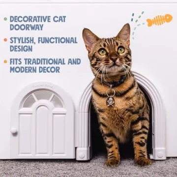No-Flap Cat Door for Easy Indoor Access