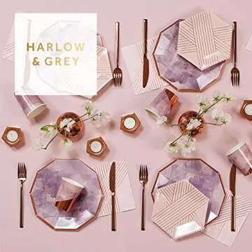 Harlow & Grey Amethyst Party Plates Set 9.75 Inches
