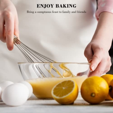 NileHome Stainless Steel Whisk Set for Kitchen Needs