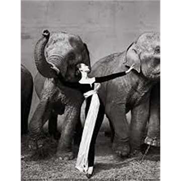 Richard Avedon: Relationships