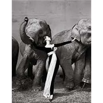 Richard Avedon: Relationships
