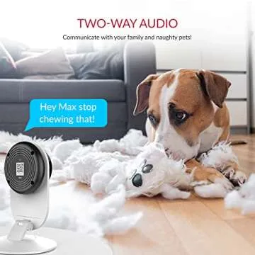 YI Pro 2K 4PC Home Security Camera, 2.4Ghz Indoor IP Camera with Person, Vehicle, Animal Detection, Phone App for Baby, Pet, Dog Monitoring, Compatible with Alexa and Google Assistant