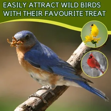 PICKY NEB Dried Mealworms 5 lb - High-Protein Bird Treats