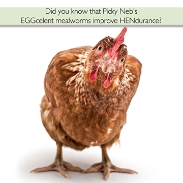 PICKY NEB Dried Mealworms 5 lb - High-Protein Bird Treats