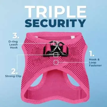 Voyager Step-in Air All Weather Mesh Harness and Reflective Dog 5 ft Leash Combo with Neoprene Handle, for Small, Medium and Large Breed Puppies by Best Pet Supplies - Set (Fuchsia), L