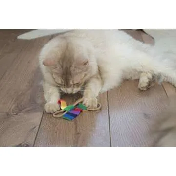 CAT DANCER Products Cat Chaser with Colorful Fleece, Interective Toy for Exercise (Pack of 6), 4 x 1...