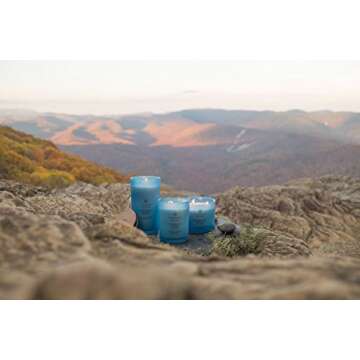 Chesapeake Bay Candle Confidence + Freedom, Medium Aroma