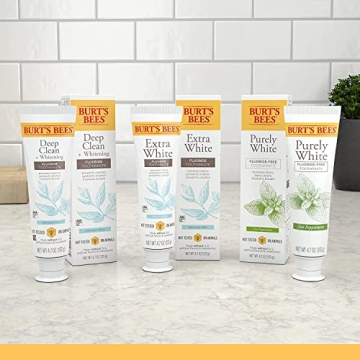 Burt’s Bees Zen Peppermint Toothpaste for Fresh Smiles