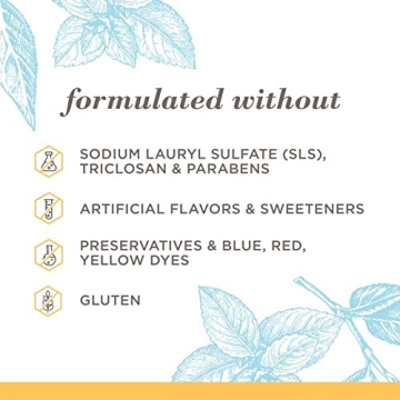 Burt’s Bees Zen Peppermint Toothpaste for Fresh Smiles