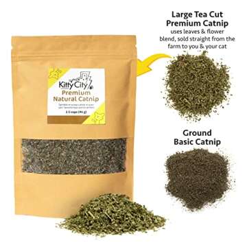Kitty City Natural Catnip for Playful Cats