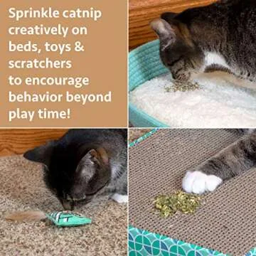 Kitty City Natural Catnip for Playful Cats