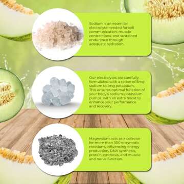Santa Cruz Paleo Electrolyte Powder - Sugar-Free Hydration