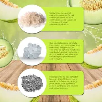 Santa Cruz Paleo Electrolyte Powder - Sugar-Free Hydration