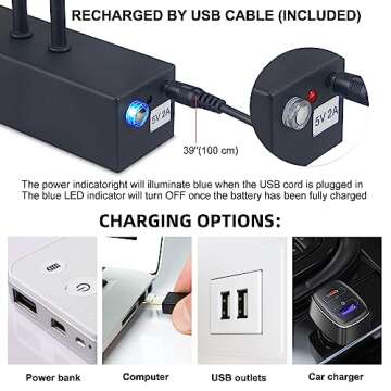 FUNCHDAY Wierelss Picture Light,13inch Picture Light Battery Operated,Remote Control Painting Light with Timer and Dimmable,Full Metal Art Light for Display,Wall,Artwork,Portrait,Gallery (Black)