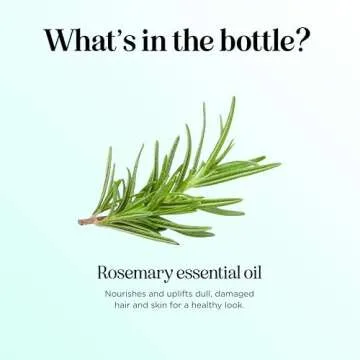 Pure Rosemary Oil for Hair Care - Volumizing Aromatherapy Rosemary Essential Oil for Diffuser Plus Hair Skin and Nail Care - Nourishing Rosemary Hair Oil for Enhanced Shine and Dry Scalp Care (2oz)