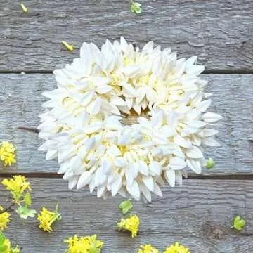 Estationeryhouse Traditional Indian Hair and Hand accessories White Gajra Artificial Flower Jewelry Handmade Veni tiara For Women Girls Party Wear bridal mehndi Hair Bun (1 pc) (Small)