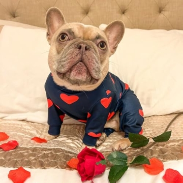 Spark Paws Dog Pajama - Comfort & Fit for All Breeds