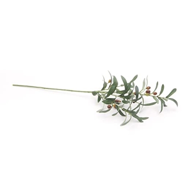 SHACOS 8 Pack Olive Tree Branches - Home Decor Essentials