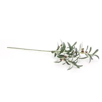 SHACOS 8 Pack Olive Tree Branches - Home Decor Essentials