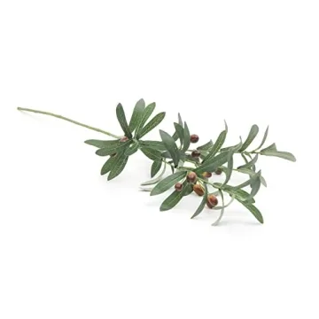 SHACOS 8 Pack Olive Tree Branches - Home Decor Essentials