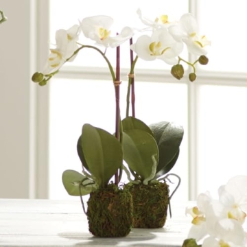Napa CC 15" Faux Orchid Drop-in for Indoor Decor