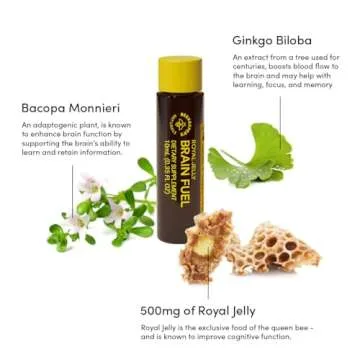 Beekeeper's Naturals B.LXR Brain Fuel - Memory, Focus and Clarity Liquid Formula, Supports Productivity Royal Jelly, Ginkgo Biloba, Bacopa Monnieri Keto Friendly, Gluten & Caffeine-Free, 6 ct (2 Pack)