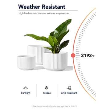 LE TAUCI Plant Pots, Large Planter Ceramic, 9.3+8+6.7 inch Pots for Plants with Drainage Holes, Garden Planters Outdoor, Indoor House Plants, Cylinder Modern Planter for Home, Set of 3, White