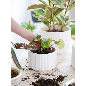 LE TAUCI Plant Pots, Large Planter Ceramic, 9.3+8+6.7 inch Pots for Plants with Drainage Holes, Garden Planters Outdoor, Indoor House Plants, Cylinder Modern Planter for Home, Set of 3, White