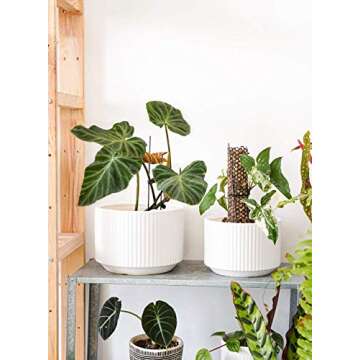 LE TAUCI Plant Pots, Large Planter Ceramic, 9.3+8+6.7 inch Pots for Plants with Drainage Holes, Garden Planters Outdoor, Indoor House Plants, Cylinder Modern Planter for Home, Set of 3, White