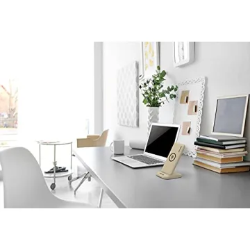 RapidX Myport 10000 mAh Power Bank with Wireless Charging