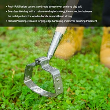 Berry&Bird Stainless Steel Garden Weeder Hoe - Durable & Eco-Friendly