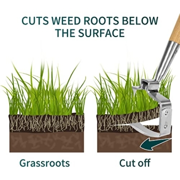 Berry&Bird Stainless Steel Garden Weeder Hoe - Durable & Eco-Friendly