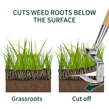 Berry&Bird Stainless Steel Garden Weeder Hoe - Durable & Eco-Friendly