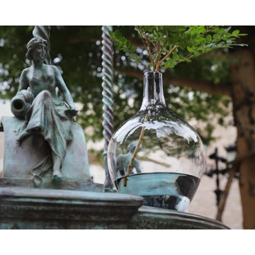 Elegant Black Clear Glass Vase for Modern Home Decor