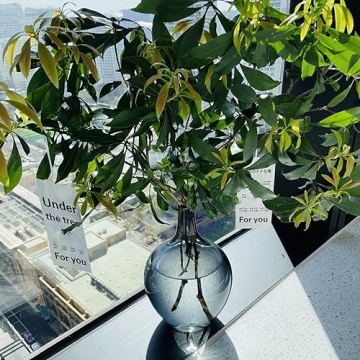 Elegant Black Clear Glass Vase for Modern Home Decor