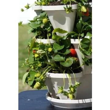 3 Tier Stackable Garden - Indoor / Outdoor Vertical Planter Set - Self Watering Tiers From Top Down ...