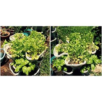 3 Tier Stackable Garden - Indoor / Outdoor Vertical Planter Set - Self Watering Tiers From Top Down - Grow Fresh Herbs In The Kitchen or Patio - Smart Planting Pots - Used for Strawberries Herbs Peppers Flowers and Succulents (Stone)