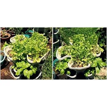 3 Tier Stackable Garden - Indoor / Outdoor Vertical Planter Set - Self Watering Tiers From Top Down - Grow Fresh Herbs In The Kitchen or Patio - Smart Planting Pots - Used for Strawberries Herbs Peppers Flowers and Succulents (Stone)