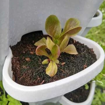 3 Tier Stackable Garden - Indoor / Outdoor Vertical Planter Set - Self Watering Tiers From Top Down - Grow Fresh Herbs In The Kitchen or Patio - Smart Planting Pots - Used for Strawberries Herbs Peppers Flowers and Succulents (Stone)