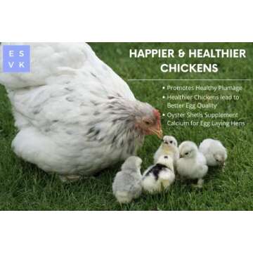 ESVK Natural Flaked Oyster Shell - 4 Pound (Pack of 1) | Calcium Supplement for Chickens, Ducks, and Other Birds| Made in USA (4 lb)