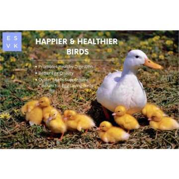 ESVK Natural Flaked Oyster Shell - 4 Pound (Pack of 1) | Calcium Supplement for Chickens, Ducks, and Other Birds| Made in USA (4 lb)