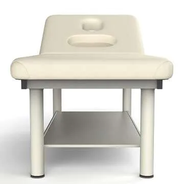 Stationary Professional Massage Table with Backrest for Treatment Table Physical Therapy Table Spa Facial Bed, Metal Frame Super Soft Leather Heavy Duty Massage Wide Bed - 31.5'' W×75'' L, Beige Gray