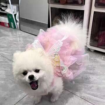 Cute Dog Princess Dresses for Small Dogs - Handmade Style