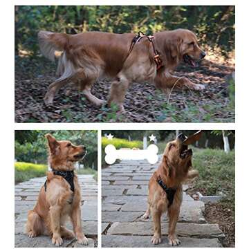 Best No Pull Dog Harness with 16ft Retractable Dog Leash Set, Soft Mesh Dog Vest Harness No Escape, Reflective & Heavy Duty for Medium Large Breeds Doggies Outdoor Adventure/Training/Walking/Hiking