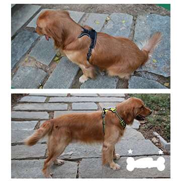 Best No Pull Dog Harness with 16ft Retractable Dog Leash Set, Soft Mesh Dog Vest Harness No Escape, Reflective & Heavy Duty for Medium Large Breeds Doggies Outdoor Adventure/Training/Walking/Hiking