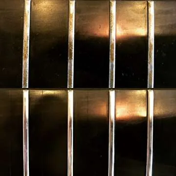 MusicNomad FRINE Fret Polish - Shine & Clean Frets 30 mL