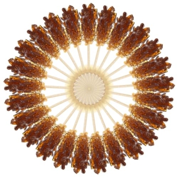 Brown Sugar Rock Candy Sticks for Coffee, Tea and Drinks