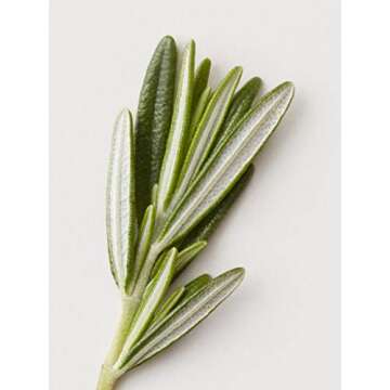 AG Care Renew Clarifying Shampoo, 10 Fl Oz