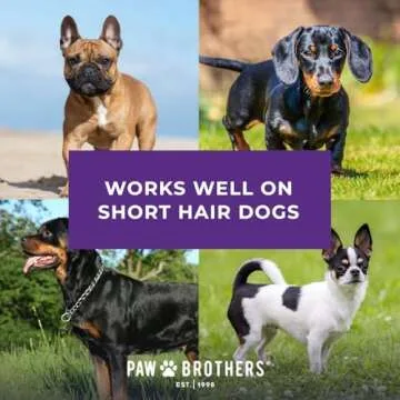 Paw Brothers Soft Rubber Curry Brush Dogs, Small Short Hair Dogs and Cats, Dog Bath Brush, Reduce Shedding, Gentle Bristles for Grooming, Massage and Stimulates Hair, Remove Loose Fur, Red, 2.8 Inch